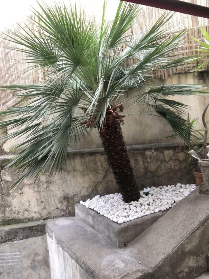 Nice Grand Appartement Face Jardin Esterno foto